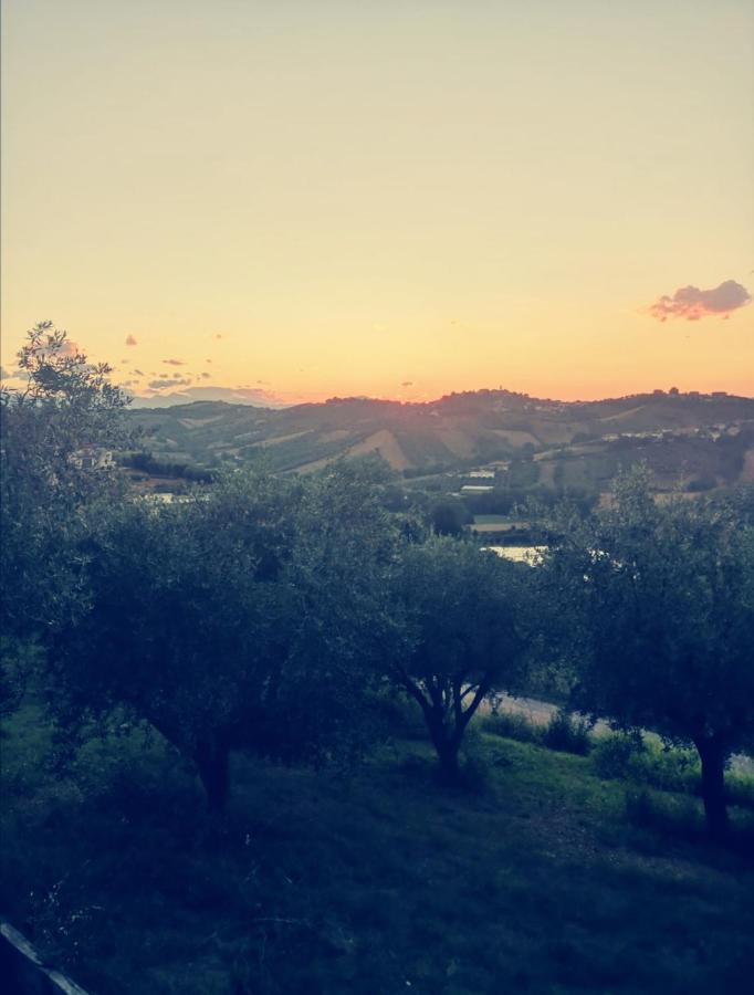 Country-House Pecora Nera Guest House Mosciano Sant'Angelo Bagian luar foto