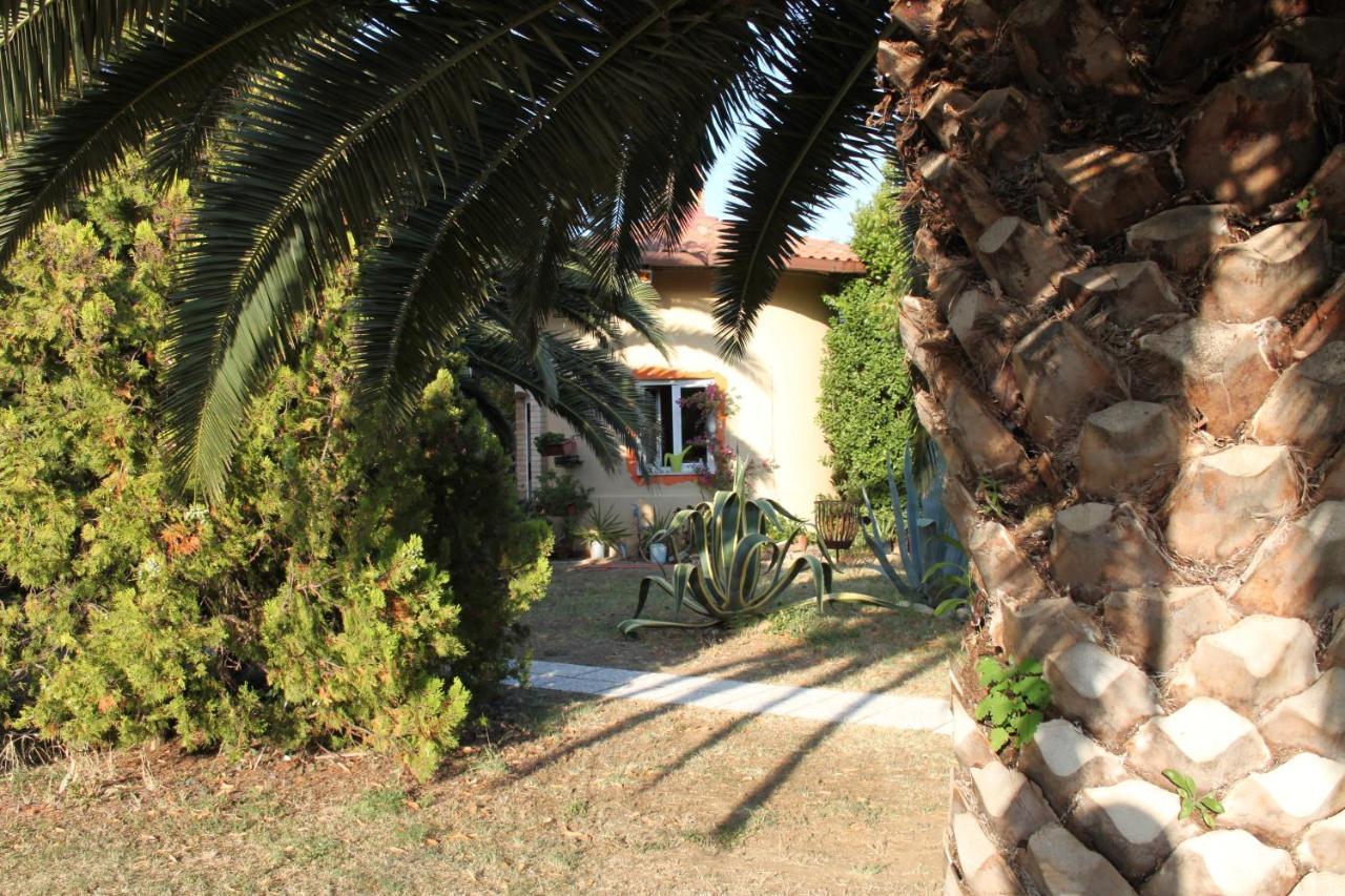Country-House Pecora Nera Guest House Mosciano Sant'Angelo Bagian luar foto