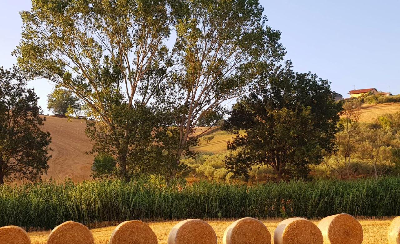 Country-House Pecora Nera Guest House Mosciano Sant'Angelo Bagian luar foto