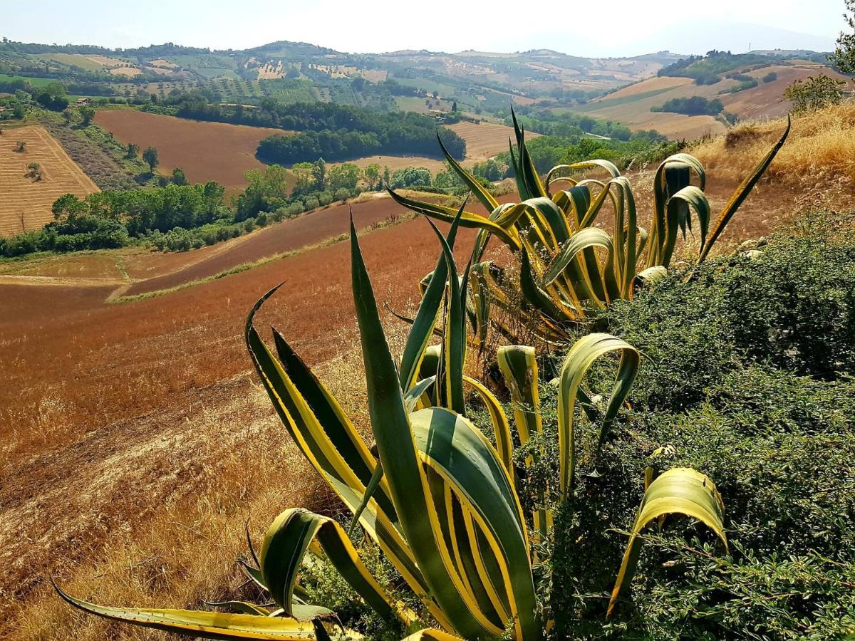 Country-House Pecora Nera Guest House Mosciano Sant'Angelo Bagian luar foto