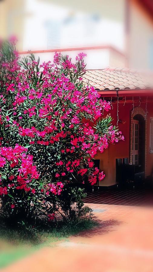 Country-House Pecora Nera Guest House Mosciano Sant'Angelo Bagian luar foto