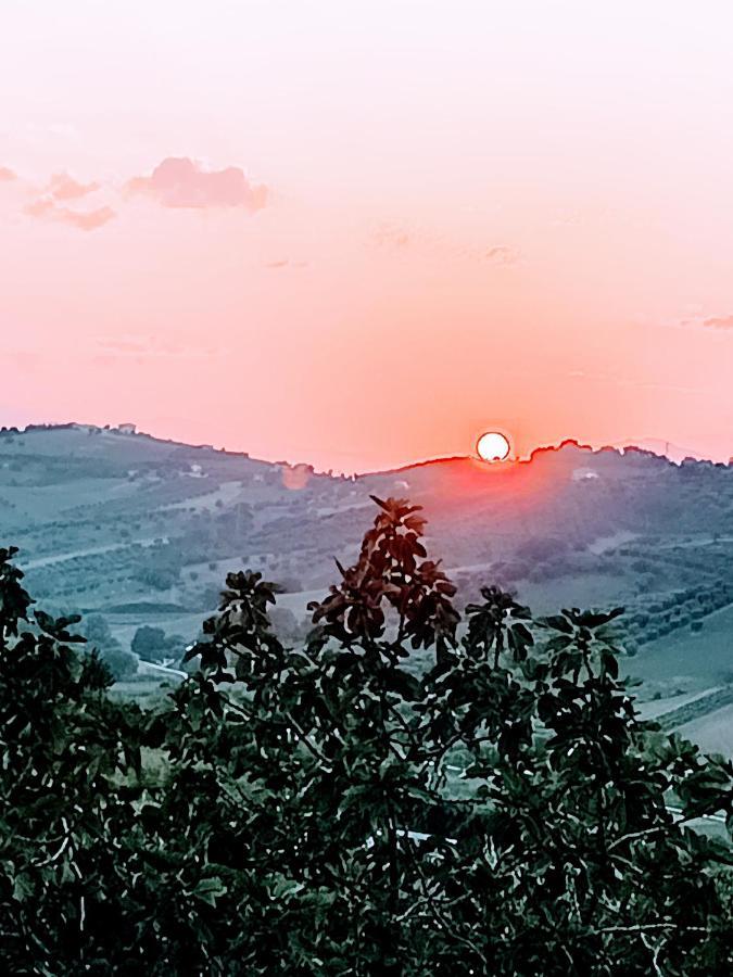 Country-House Pecora Nera Guest House Mosciano Sant'Angelo Bagian luar foto