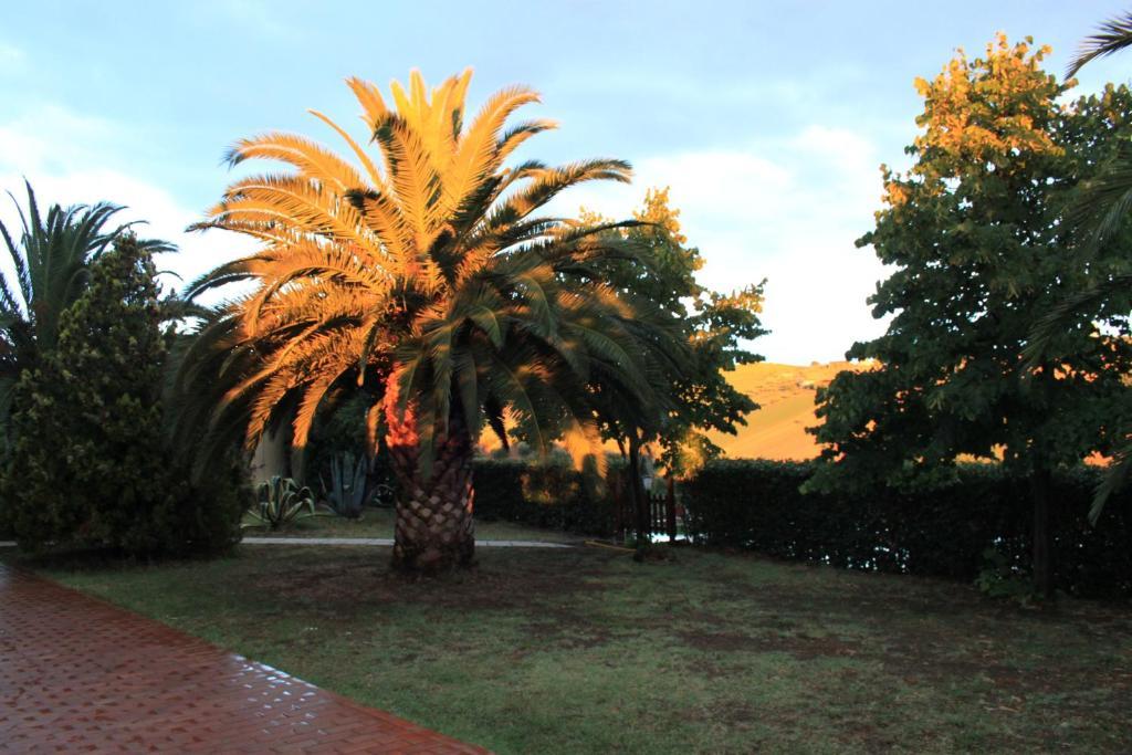 Country-House Pecora Nera Guest House Mosciano Sant'Angelo Bagian luar foto