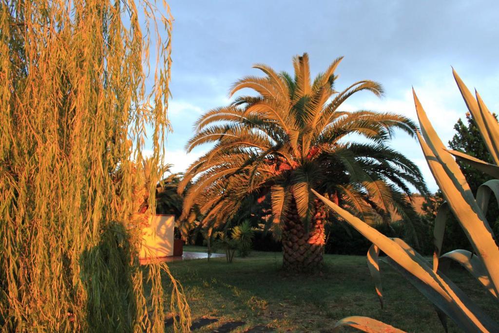 Country-House Pecora Nera Guest House Mosciano Sant'Angelo Bagian luar foto