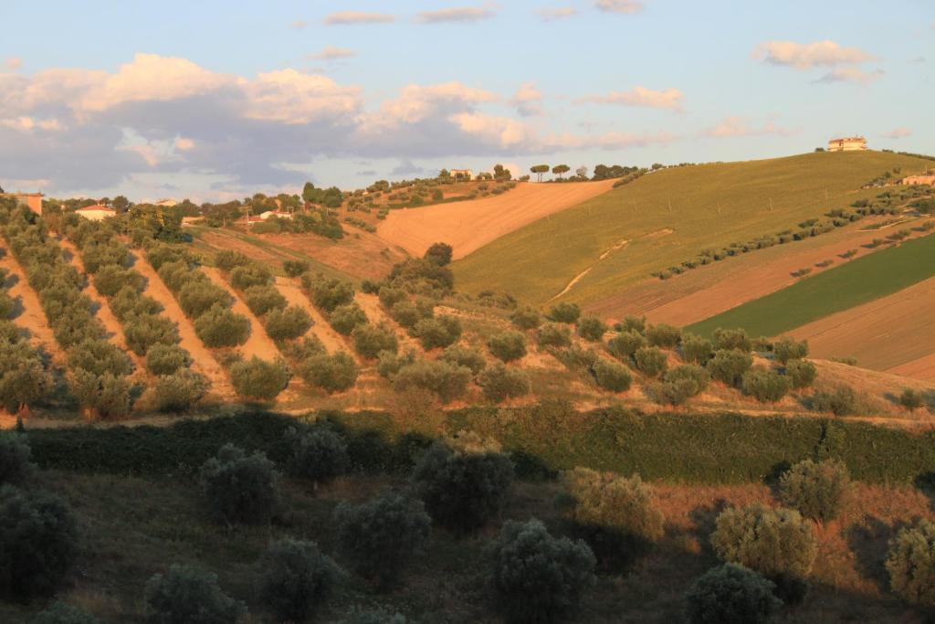 Country-House Pecora Nera Guest House Mosciano Sant'Angelo Bagian luar foto
