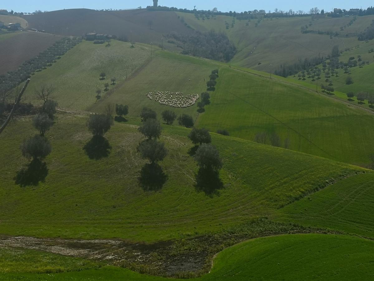 Country-House Pecora Nera Guest House Mosciano Sant'Angelo Bagian luar foto