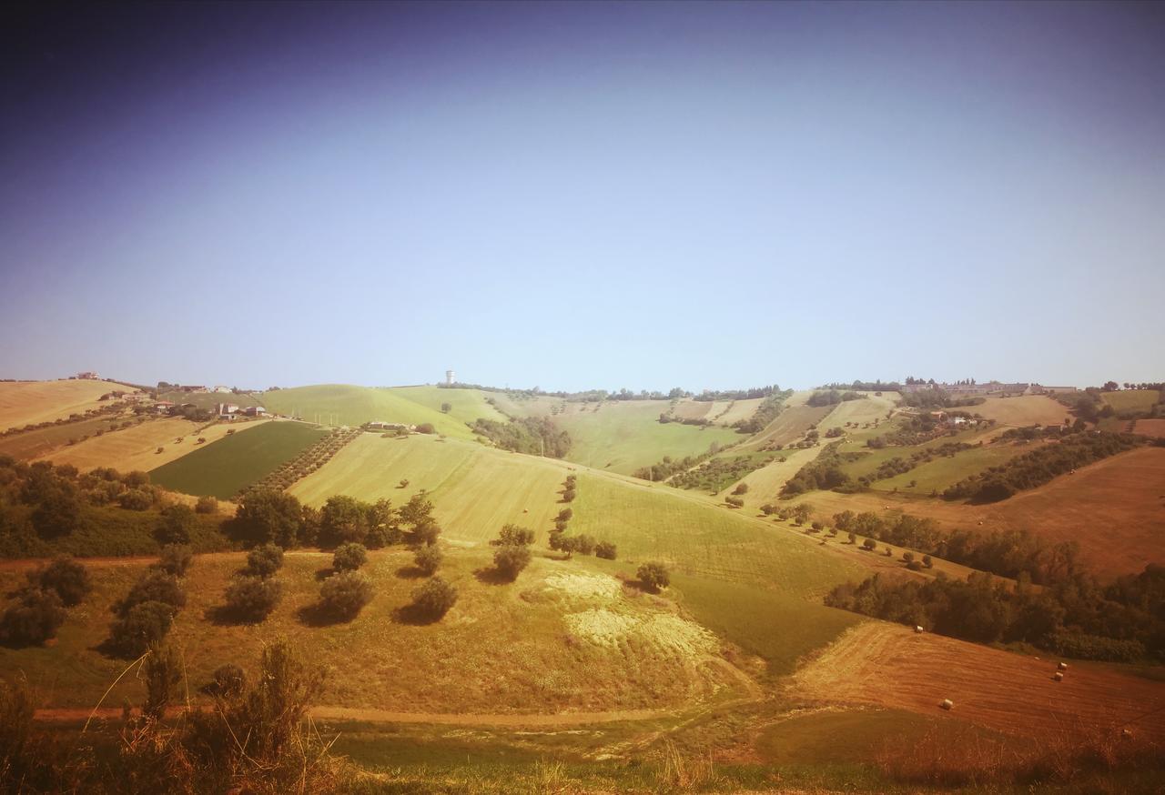 Country-House Pecora Nera Guest House Mosciano Sant'Angelo Bagian luar foto